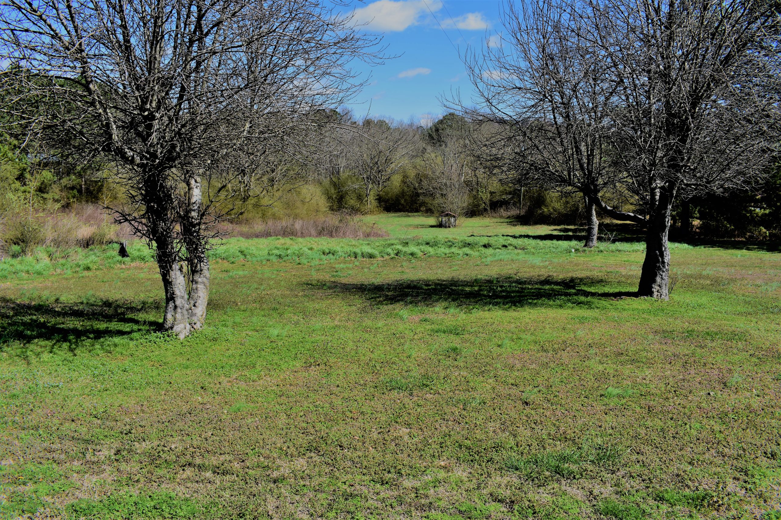 2567 Bethelview Rd, Cumming, GA, 30040Approximately 11.67 Acres of Potential Commercial